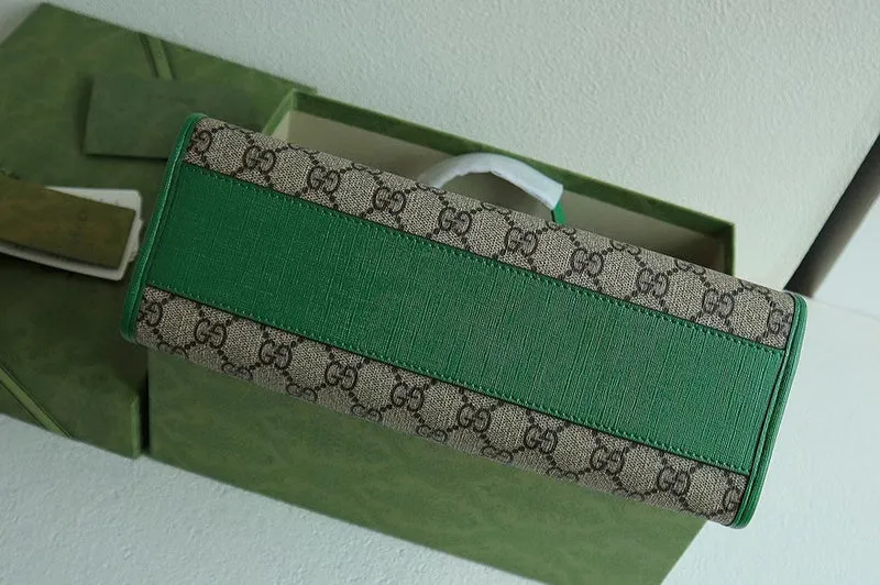 Gucci   Luxury Bags  1259