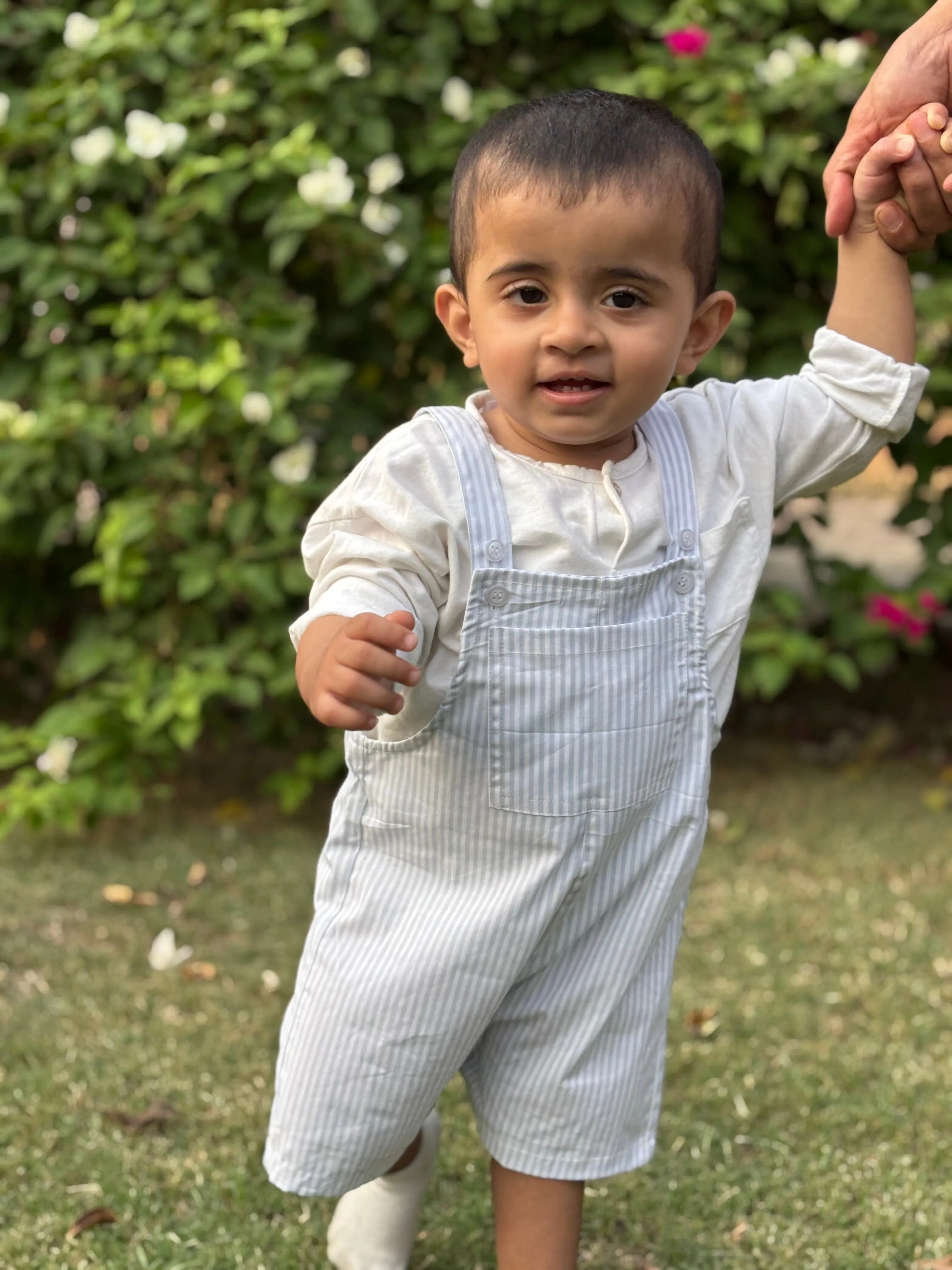 Tiny Sailor Cotton Dungaree (Blue Stripes)